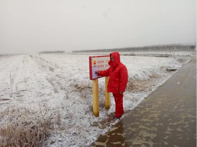 进口增压泵金属软接头：.巡管道雪