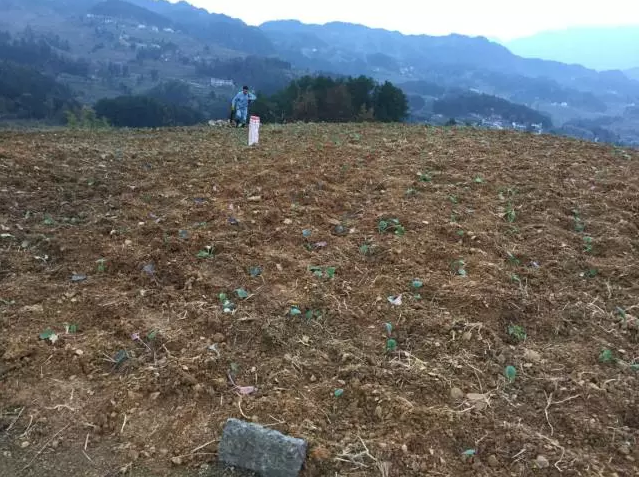 自灌式消防水泵金属软接头：春检在黔山深处
