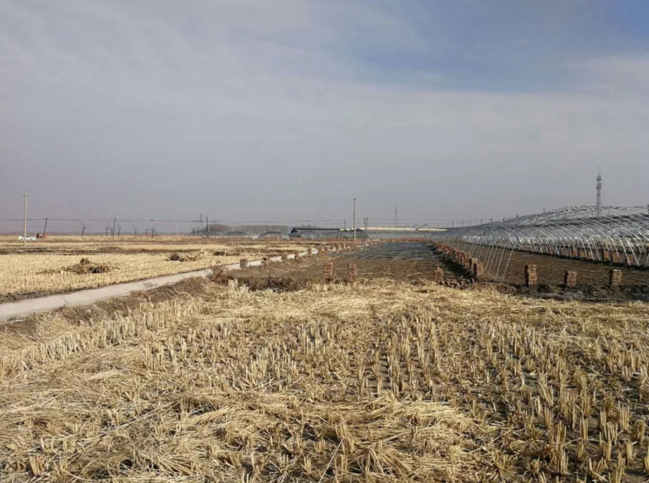 立式消火栓泵金属软接头：及时发现并制止*起在管线上违章建大棚事件