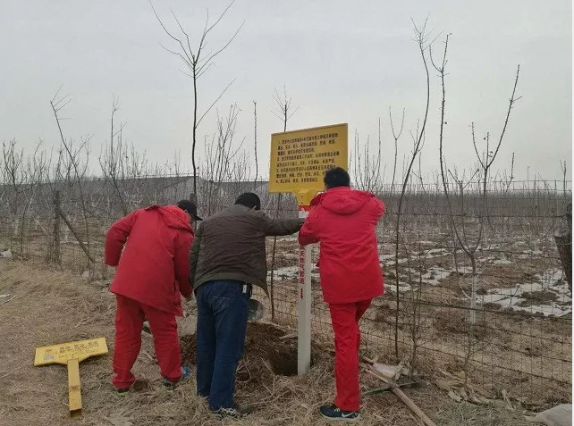 微型燃气锅炉金属软接头：开展地面标识“破、歪、矮”整治行动