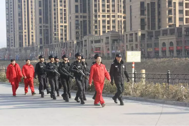 *暖燃气锅炉金属软接头：武装巡线护航管道安全运行