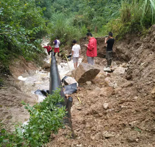 纯化水系统金属软接头：管道完整性管理应对地质灾害的实践