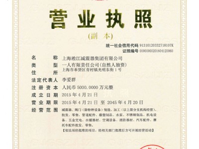 上海淞江减震器集团有限公司营业执照